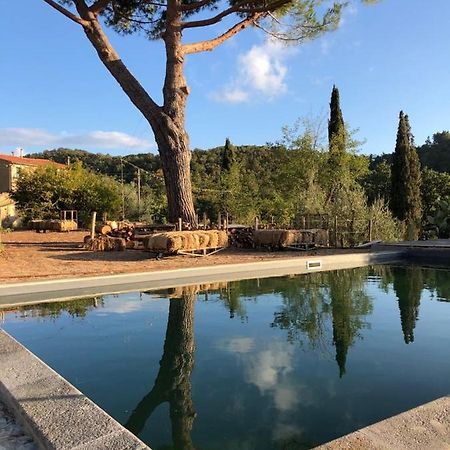 Villa Operaviva à Suvereto Extérieur photo