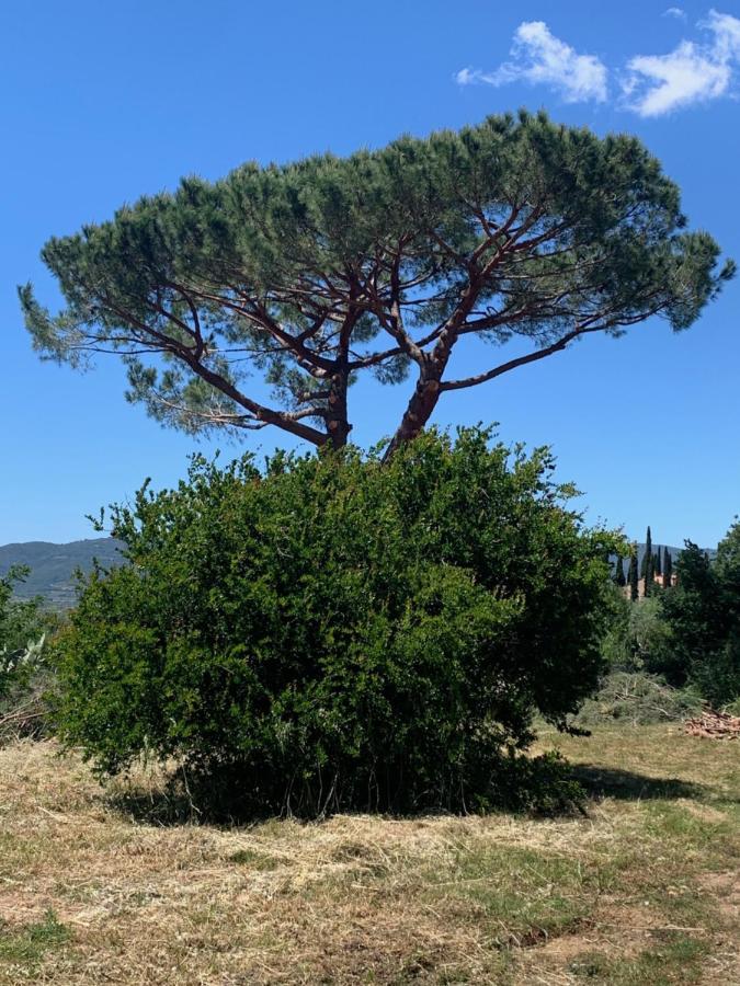 Villa Operaviva à Suvereto Extérieur photo