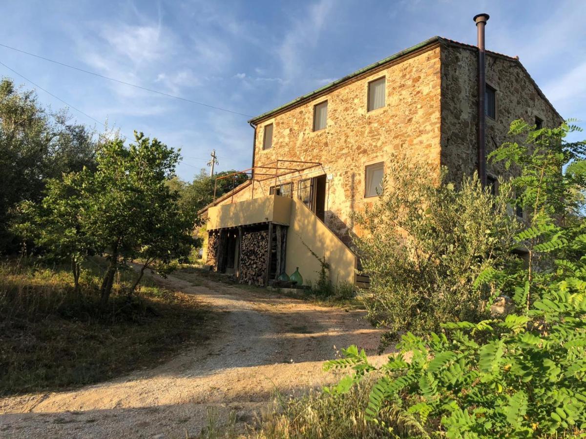 Villa Operaviva à Suvereto Extérieur photo