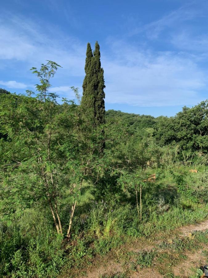 Villa Operaviva à Suvereto Extérieur photo