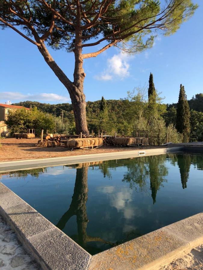 Villa Operaviva à Suvereto Extérieur photo